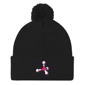 Pom Pom Knit Cap